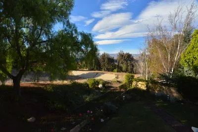 DSC_7359 (Large).JPG